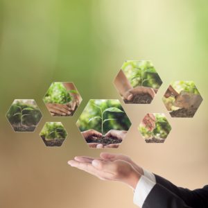 Business concept of CSR or Corporate Social Responsibility, businessman select a photo on touch screen for plan csr